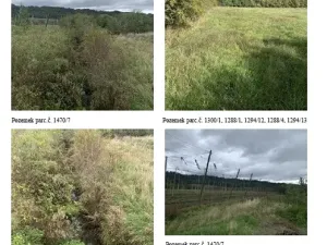 Dražba pole, Staňkovice, 1500 m2