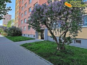 Pronájem bytu 1+1, Ostrava, Výškovická, 36 m2