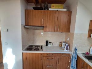 Pronájem bytu 1+kk, Praha - Záběhlice, U mlýna, 38 m2