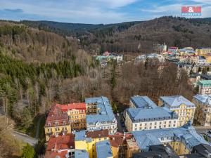 Prodej bytu 2+1, Mariánské Lázně, Mladějovského, 54 m2