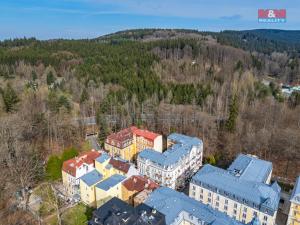 Prodej bytu 2+1, Mariánské Lázně, Mladějovského, 54 m2