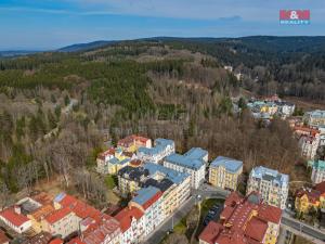 Prodej bytu 2+1, Mariánské Lázně, Mladějovského, 54 m2