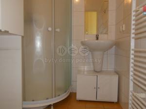 Pronájem bytu 2+1, Louny, Přemyslovců, 58 m2