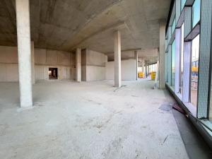 Pronájem obchodního prostoru, Brno, Škrobárenská, 450 m2