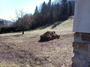 Prodej pozemku pro bydlení, Tanvald, 1791 m2