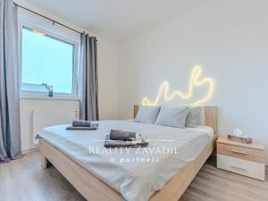 Pronájem bytu 2+kk, Dašice, 44 m2
