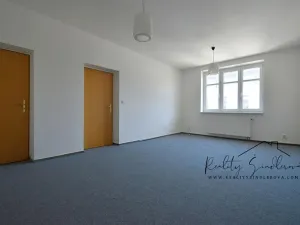 Pronájem kanceláře, Přerov, Havlíčkova, 14 m2