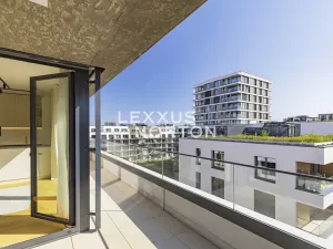 Pronájem bytu 4+kk, Praha - Žižkov, Tetauerova, 106 m2