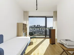 Pronájem bytu 4+kk, Praha - Žižkov, Tetauerova, 106 m2