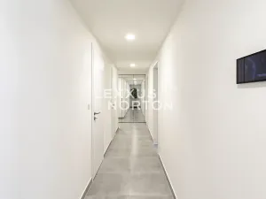 Pronájem bytu 4+kk, Praha - Žižkov, Tetauerova, 106 m2