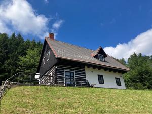Pronájem - jiné, Vidochov, 90 m2