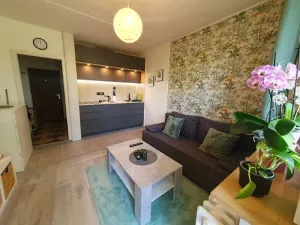 Pronájem bytu 1+1, Jihlava, Březinova, 42 m2