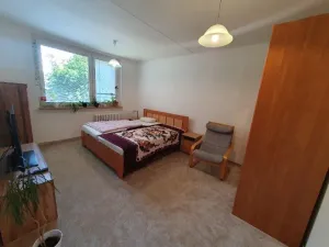 Pronájem bytu 1+1, Jihlava, Březinova, 42 m2