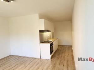 Pronájem bytu 1+kk, Liberec, Vlnařská, 26 m2