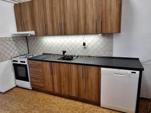 Pronájem bytu 1+1, Brno - Zábrdovice, Cejl, 42 m2