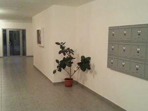 Pronájem bytu 3+1, Praha - Stodůlky, Dominova, 83 m2