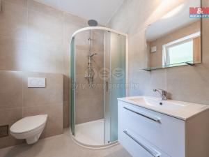 Pronájem bytu 1+kk, Vojkov, 42 m2