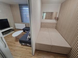 Pronájem bytu 1+kk, Ostrava - Moravská Ostrava, Žofinská, 27 m2