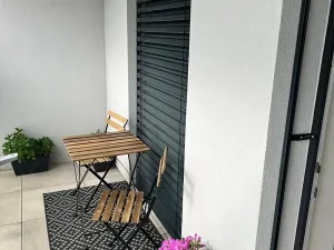 Pronájem bytu 1+kk, České Budějovice, Chelčického, 47 m2