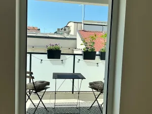 Pronájem bytu 1+kk, České Budějovice, Chelčického, 47 m2
