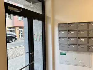 Pronájem bytu 1+kk, České Budějovice, Chelčického, 47 m2