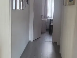Pronájem bytu 3+kk, České Budějovice, Skuherského, 101 m2