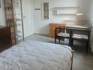 Pronájem bytu 3+kk, České Budějovice, Skuherského, 101 m2