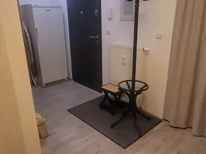 Pronájem bytu 3+kk, České Budějovice, Skuherského, 101 m2