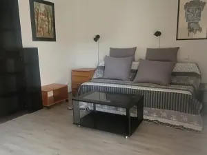 Pronájem bytu 3+kk, České Budějovice, Skuherského, 101 m2