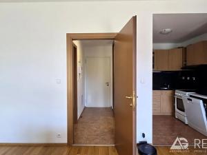 Pronájem bytu 2+kk, Praha - Dejvice, Paťanka, 70 m2