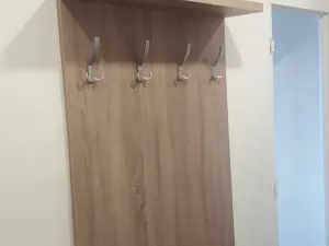 Pronájem bytu 1+1, Plzeň, Železničářská, 40 m2