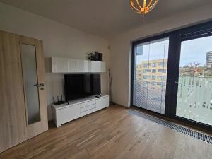 Pronájem bytu 2+kk, Praha - Žižkov, Olšanská, 66 m2