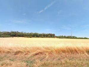 Prodej pozemku pro bydlení, Náměšť na Hané, 4746 m2