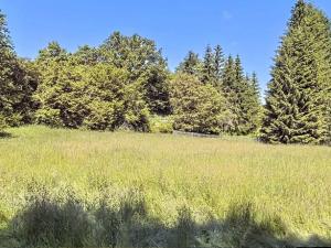Prodej pozemku pro bydlení, Plánice, 2126 m2