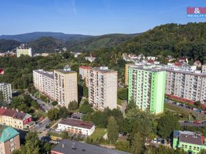 Prodej bytu 3+1, Děčín - Děčín II-Nové Město, Dvořákova, 75 m2
