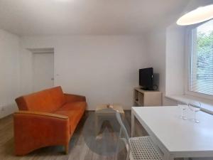 Pronájem bytu 2+kk, Brno, Nové sady, 48 m2