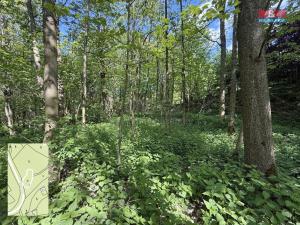 Prodej pozemku pro bydlení, Červená Voda - Horní Orlice, 424 m2