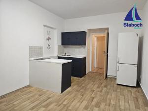 Pronájem bytu 1+kk, Praha - Žižkov, Biskupcova, 23 m2