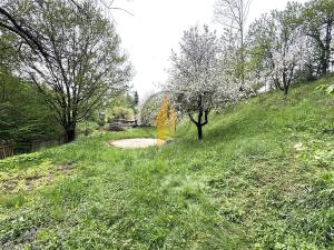 Prodej chalupy, Holenice, 80 m2