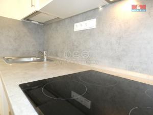 Prodej bytu 1+kk, Ostrava - Zábřeh, Petruškova, 31 m2