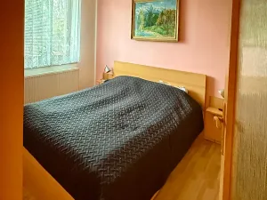 Prodej vícegeneračního domu, Jihlava, Jungmannova, 236 m2