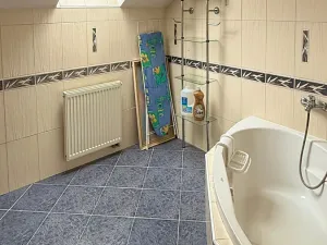 Prodej vícegeneračního domu, Jihlava, Jungmannova, 236 m2