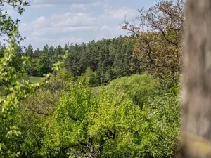 Prodej chalupy, Petrovice, 120 m2