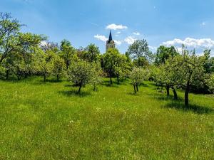 Prodej chalupy, Petrovice, 120 m2