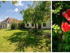 Prodej chalupy, Petrovice, 120 m2