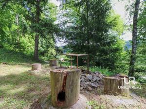 Prodej chaty, Nedvědice, 36 m2