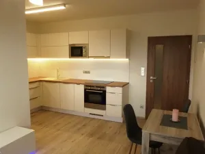 Pronájem bytu 1+kk, Zlín, Zelinova, 27 m2