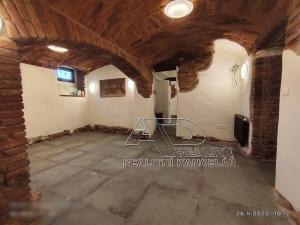 Pronájem restaurace, České Budějovice, Fráni Šrámka, 155 m2