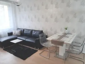 Pronájem bytu 2+kk, Litvínov, Hamerská, 40 m2