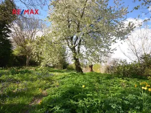 Prodej pozemku pro bydlení, Hradečno, 892 m2